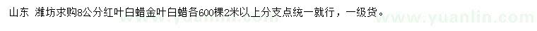求購8公分紅葉白蠟、金葉白蠟