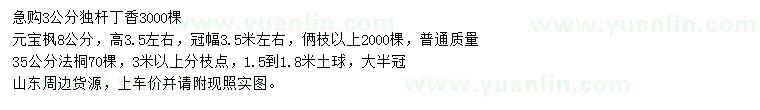 求購(gòu)丁香、元寶楓、法桐