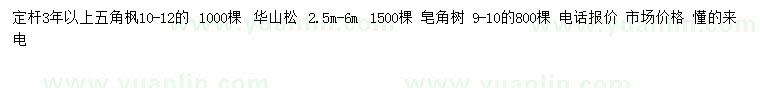 求購五角楓、華山松、皂角樹