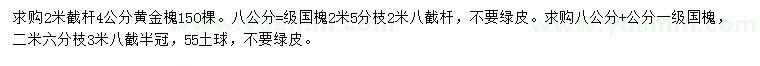 求購4公分黃金槐、8公分國槐