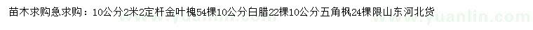 求購(gòu)金葉槐、白臘、五角楓等