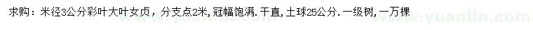 求購米徑3公分彩葉大葉女貞