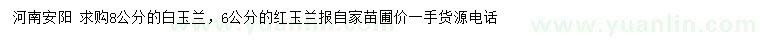 求購8公分白玉蘭、6公分紅玉蘭
