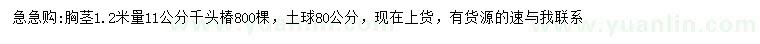 求購胸徑1.2米量11公分千頭椿
