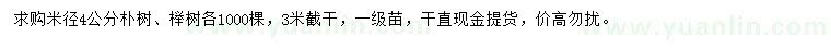 求購米徑4公分樸樹、櫸樹
