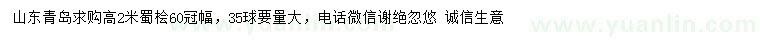 求購高2米蜀檜