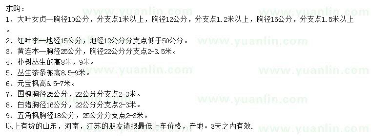 求購大葉女貞、紅葉李、黃連木等