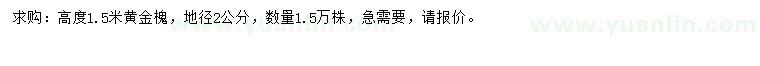 求購(gòu)高1.5米黃金槐
