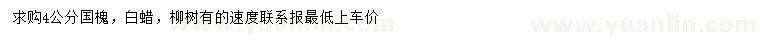 求購國槐、白蠟、柳樹