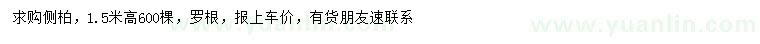 求購高1.5米側(cè)柏