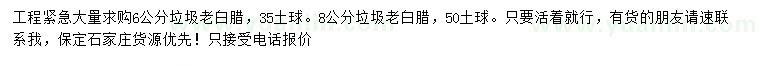 求購6公分垃圾老白蠟