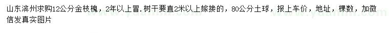 求購12公分金枝槐
