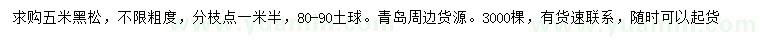 求購5米黑松