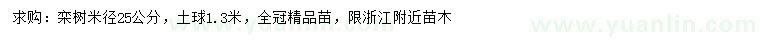 求購25公分欒樹