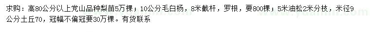 求購黨山品種梨苗、毛白楊、油松