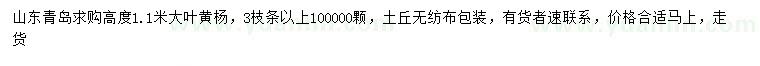 求購(gòu)高1.1米大葉黃楊