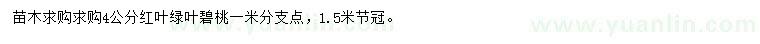 求購4公分紅葉綠葉碧桃