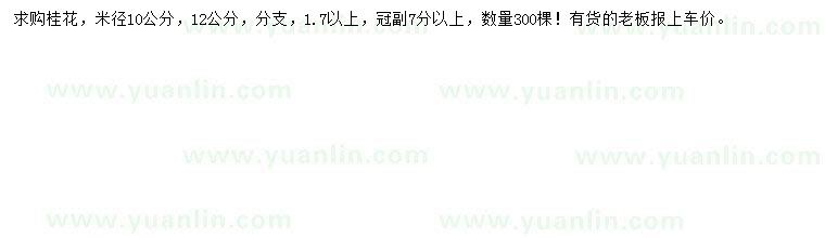 求購米徑10、12公分桂花
