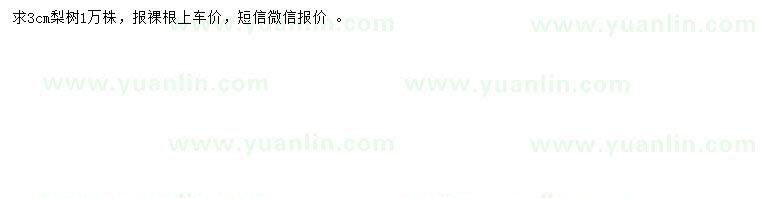 求購3公分梨樹