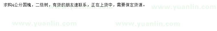 求購4公分國槐