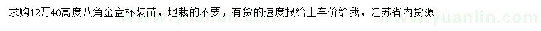 求購高40公分八角金盤
