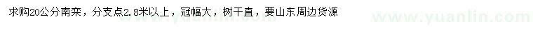 求購20公分南欒