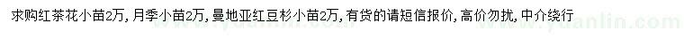 求購紅茶花小苗、月季小苗、曼地亞紅豆杉小苗