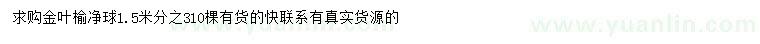 求購1.5米金葉榆凈球