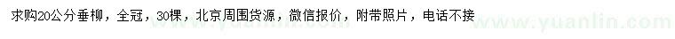 求購20公分垂柳