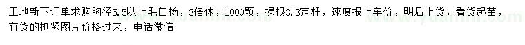 求購胸徑5.5公分以上毛白楊