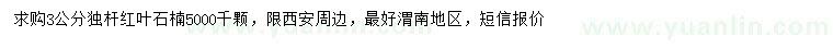 求購3公分獨桿石楠