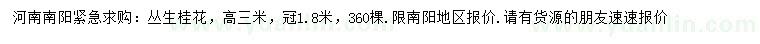 求購高3米叢生桂花