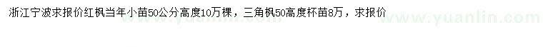 求購高50公分紅楓小苗