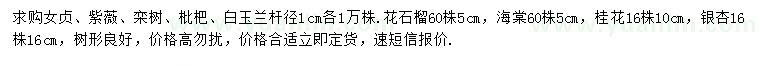 求購(gòu)女貞、紫薇、欒樹(shù)等