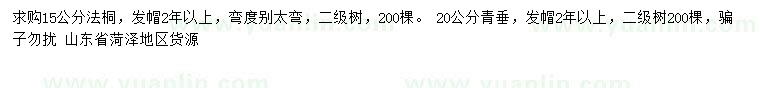 求購(gòu)15公分法桐、 20公分青垂
