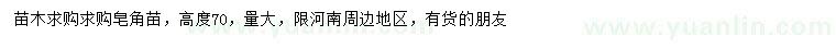 求購高70公分皂角苗