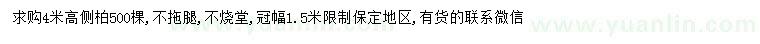 求購(gòu)高4米側(cè)柏