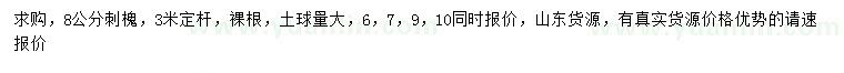 求購8公分刺槐
