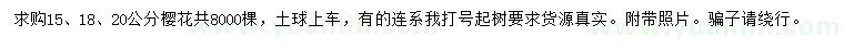 求購15、18、20公分櫻花