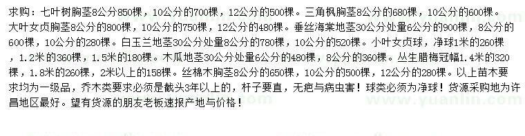 求購七葉樹、三角楓、大葉女貞等