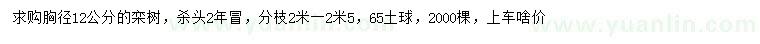 求購(gòu)胸徑12公分欒樹