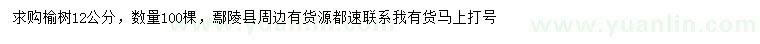 求購12公分榆樹