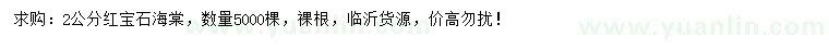 求購(gòu)2公分紅寶石海棠