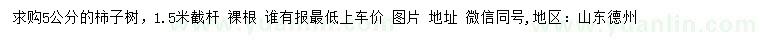求購(gòu)5公分柿子樹(shù)