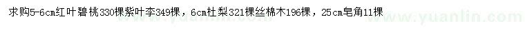 求購紅葉碧桃、紫葉李、杜梨等