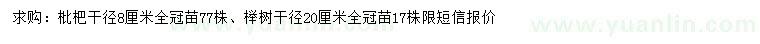 求購桿徑8公分枇杷、20公分櫸樹