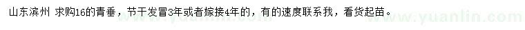 求購16公分青垂