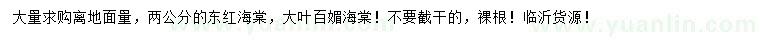 求購2公分冬紅海棠