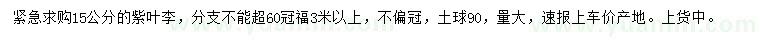 求購15公分紫葉李