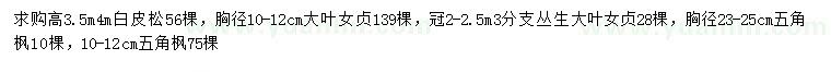求購白皮松、大葉女貞、五角楓